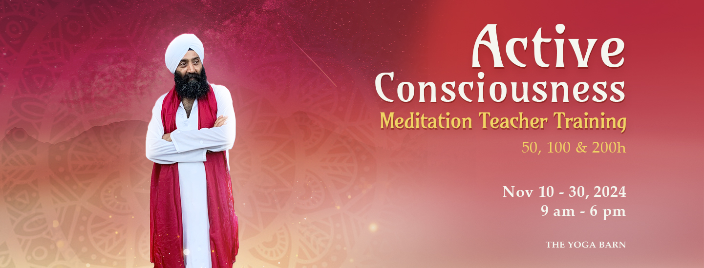 Active-Consciousness-Meditation-NOV2024_WEB-NEW-LANDSCAPE