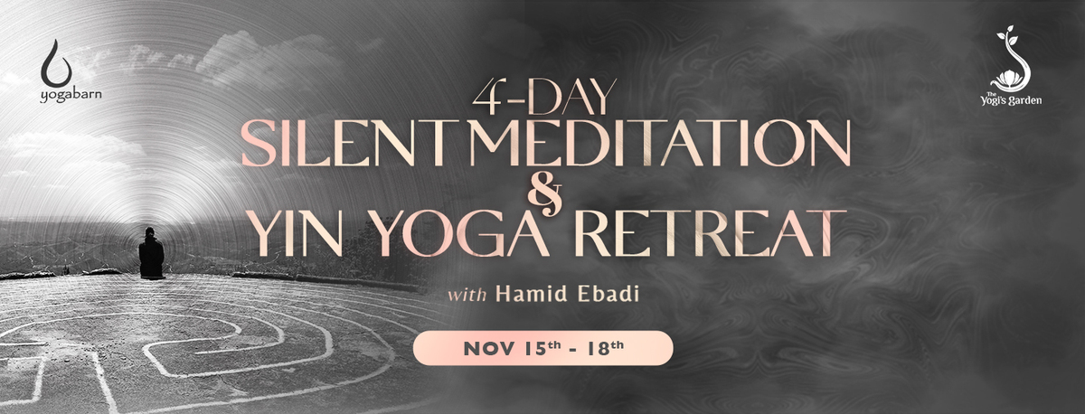 Silent-Meditation-4D-Nov2024-Web-Banner